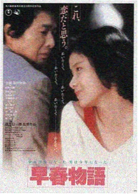 何以笙箫默小说封面